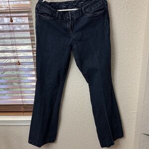 The Limited Women's Deep Indigo Straight Leg Jeans